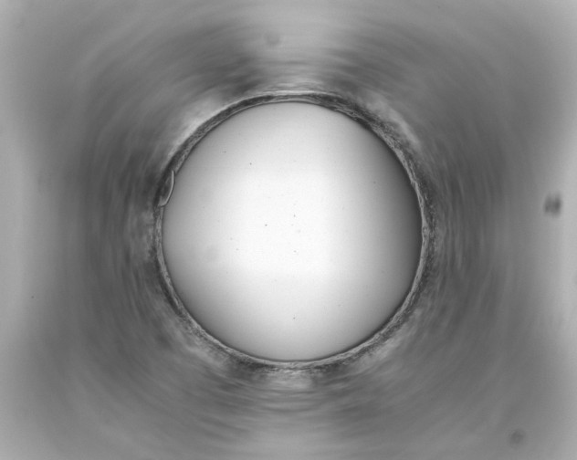 X0000093391457200711011300