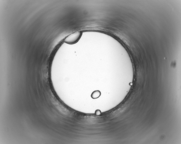 X0000093391458200711011300