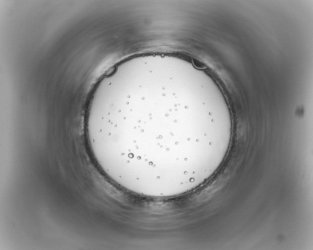 X0000093391459200711011300