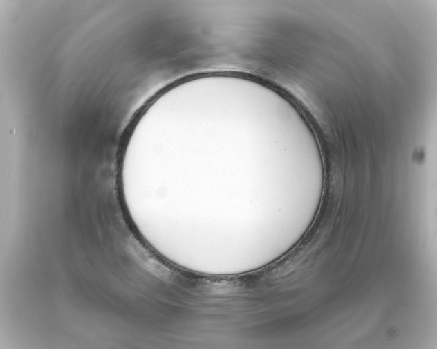 X0000093391460200711011300