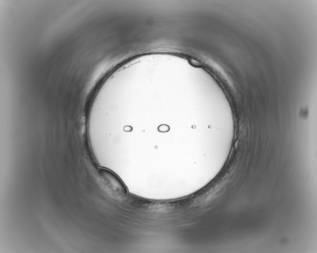 X0000093391461200711011300