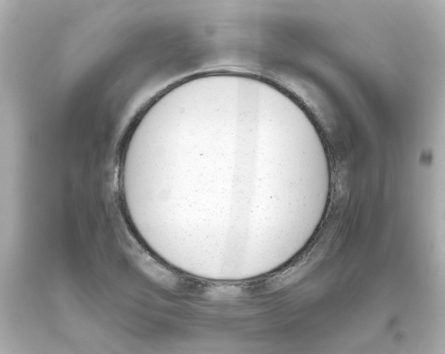 X0000093391462200711011300