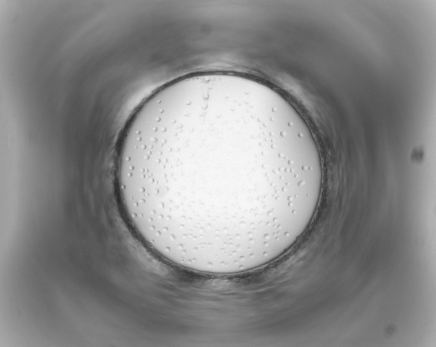 X0000093391463200711011300