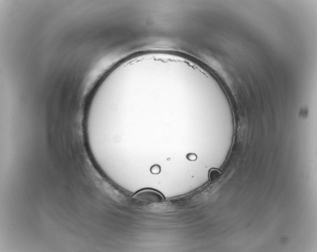 X0000093391464200711011300