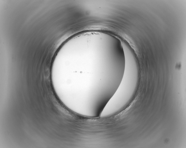 X0000093391465200711011300