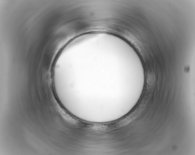 X0000093391466200711011300