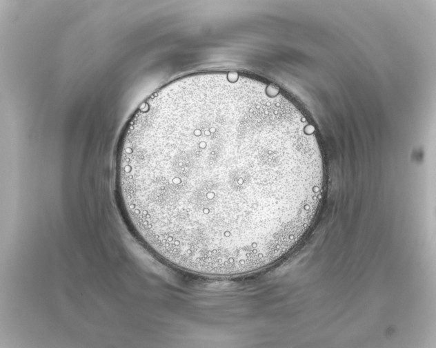 X0000093391467200711011300