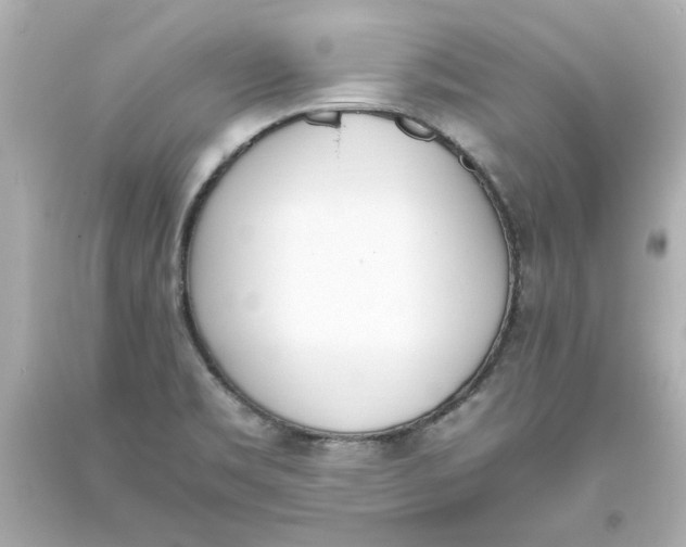 X0000093391469200711011300