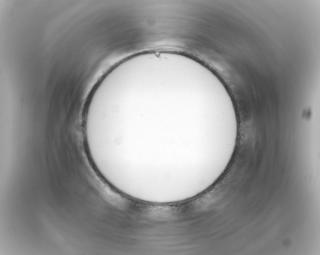 X0000093391470200711011300