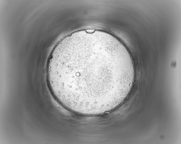 X0000093391471200711011300