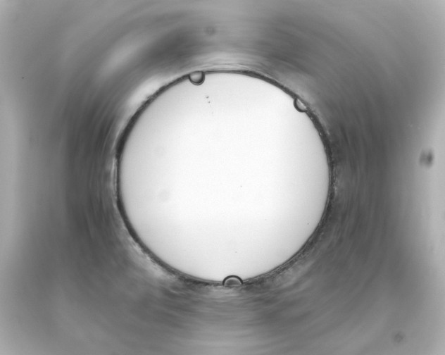 X0000093391472200711011300