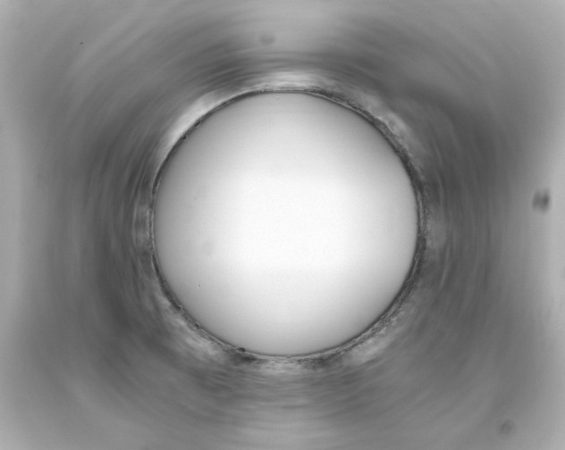 X0000093391473200711011300