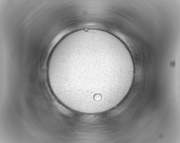 X0000093391474200711011300