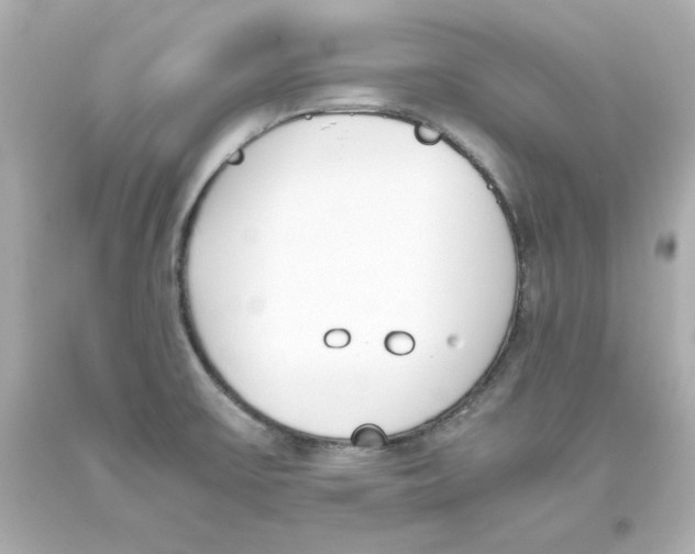 X0000093391475200711011300