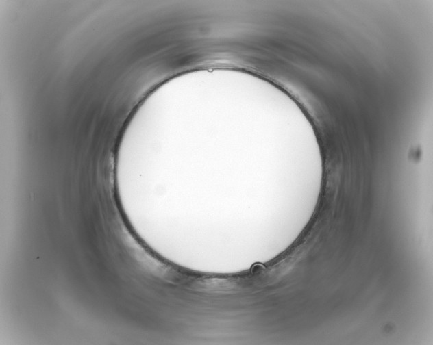 X0000093391476200711011300