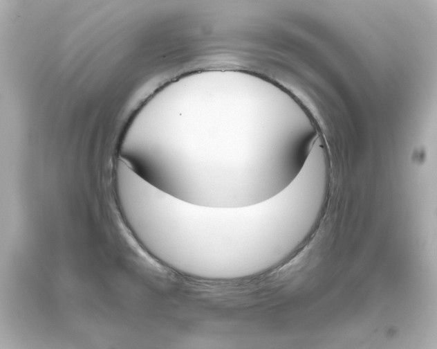 X0000093391477200711011300