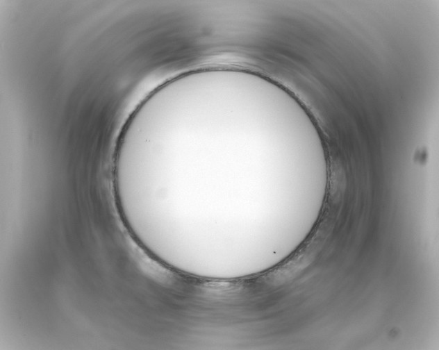 X0000093391478200711011300