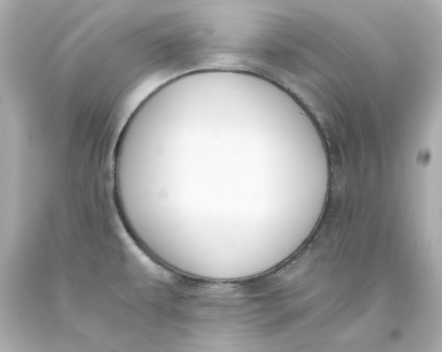 X0000093391479200711011300