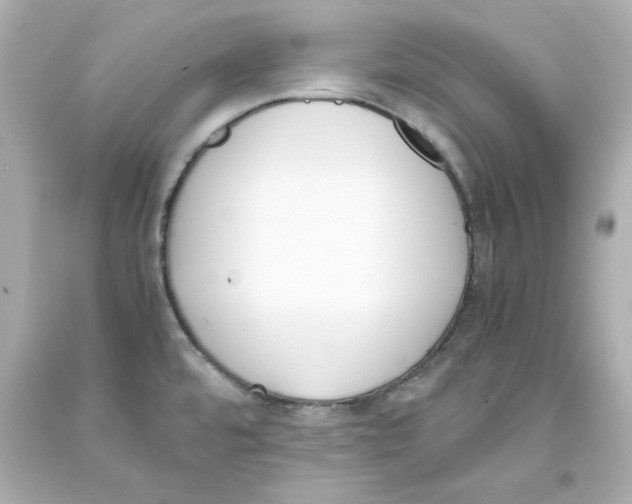 X0000093391480200711011300