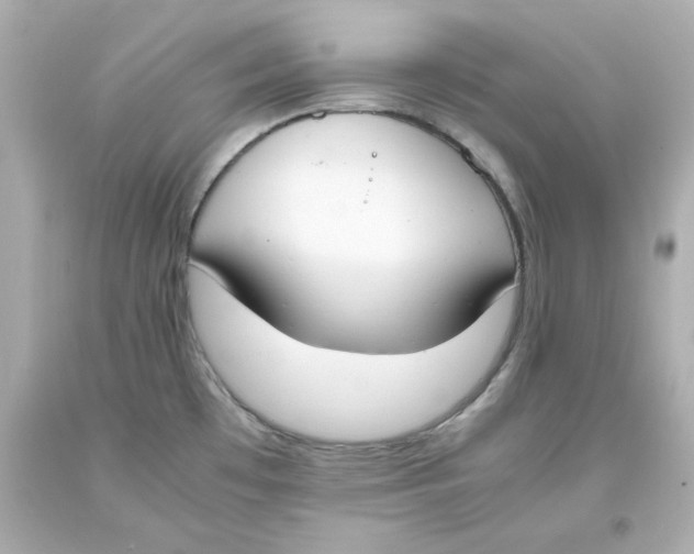 X0000093391481200711011300