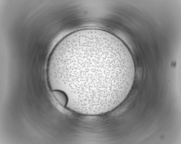 X0000093391482200711011300