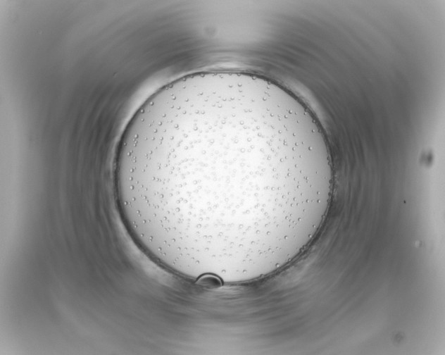 X0000093391483200711011300