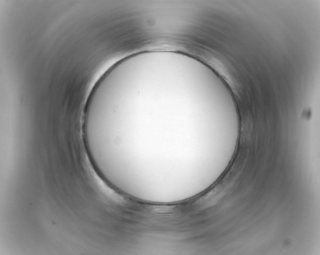 X0000093391484200711011300