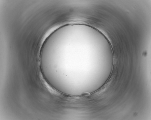 X0000093391485200711011300