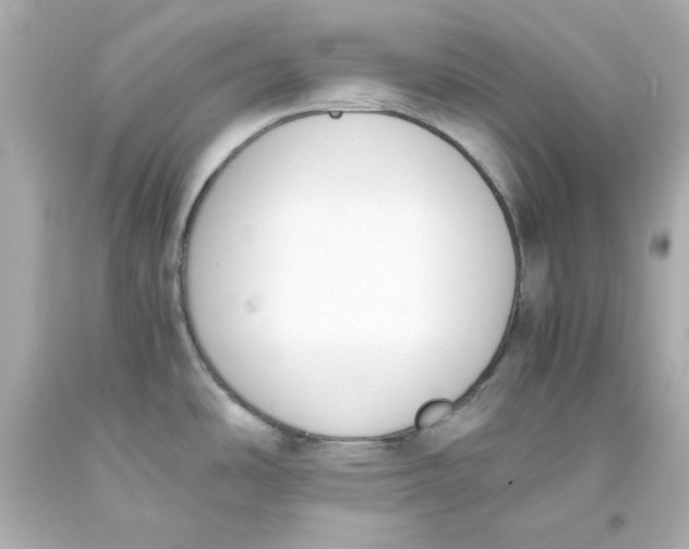 X0000093391486200711011300