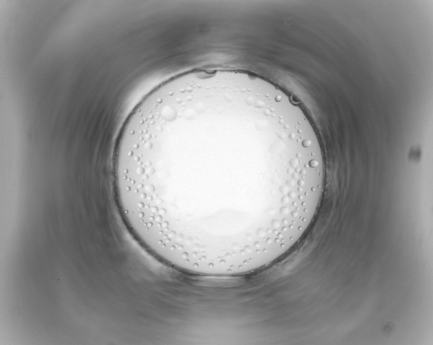 X0000093391487200711011300