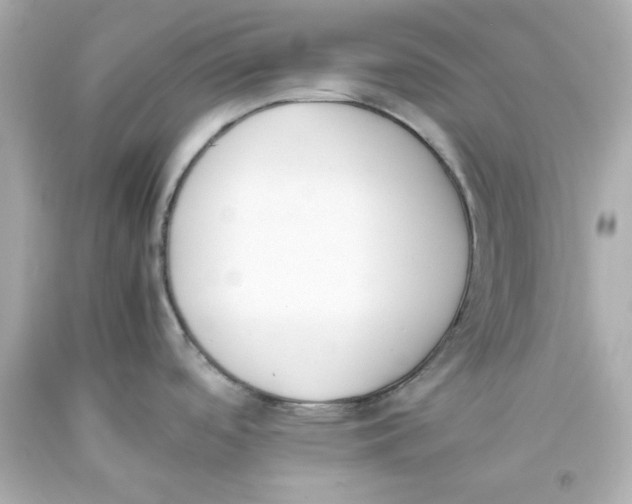 X0000093391488200711011300