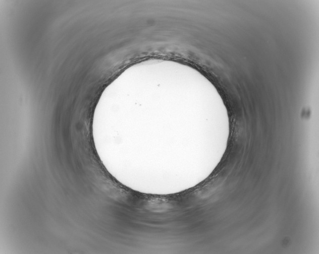 X0000093391489200711011259