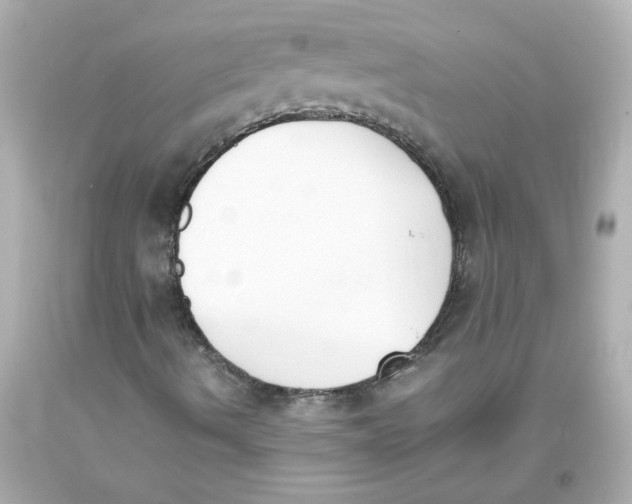 X0000093391490200711011259