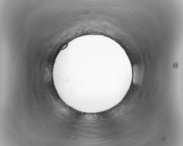 X0000093391491200711011259