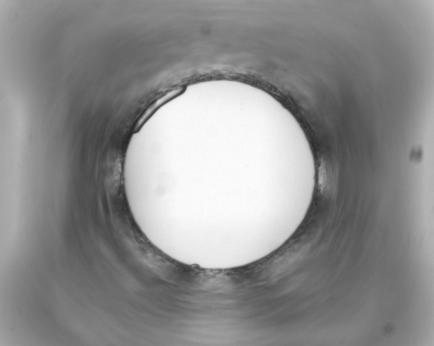 X0000093391492200711011259