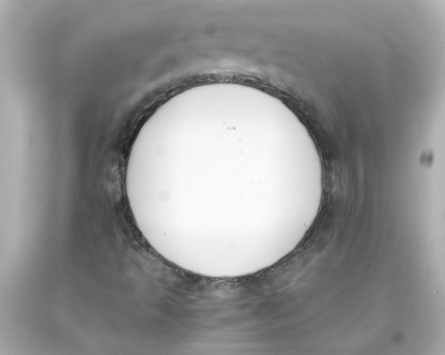 X0000093391493200711011259