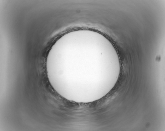 X0000093391494200711011259