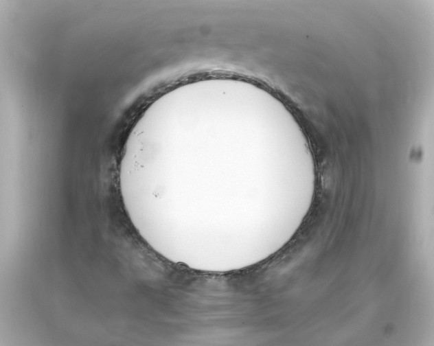 X0000093391495200711011259