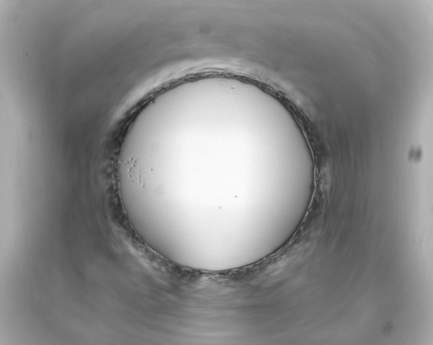 X0000093391496200711011259