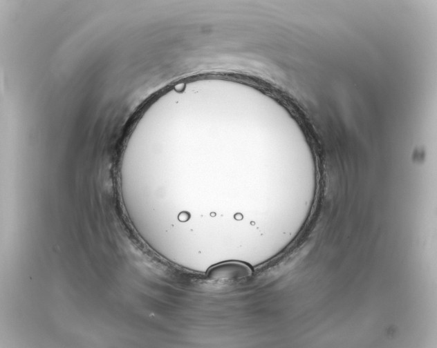 X0000093391497200711011259