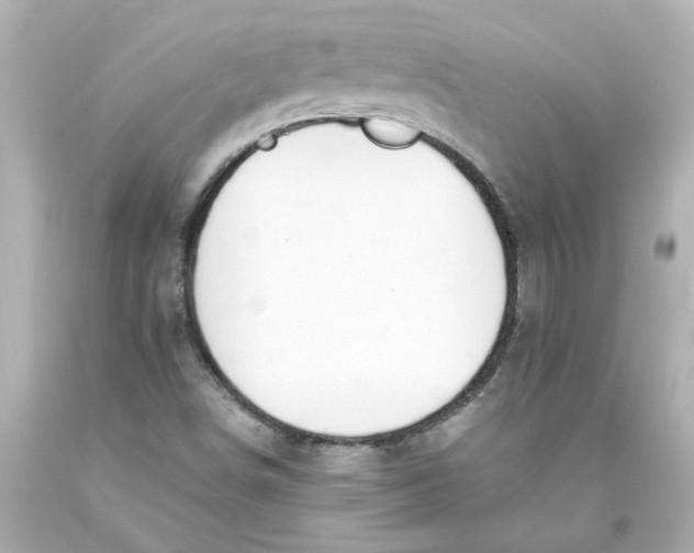 X0000093391498200711011259