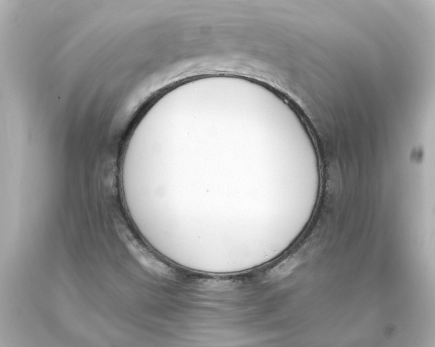 X0000093391499200711011259