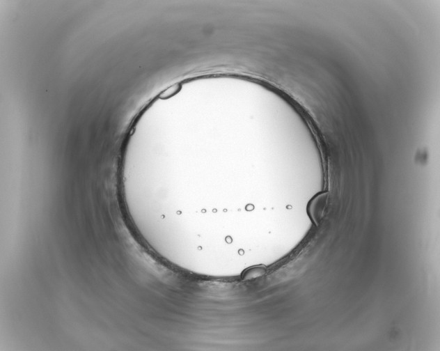 X0000093391500200711011259