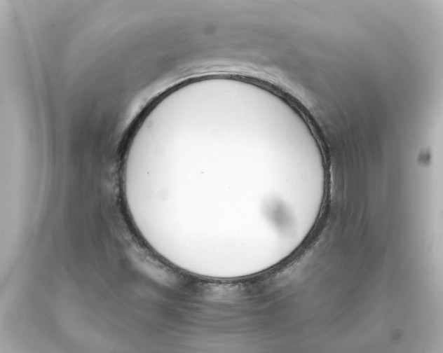 X0000093391501200711011259