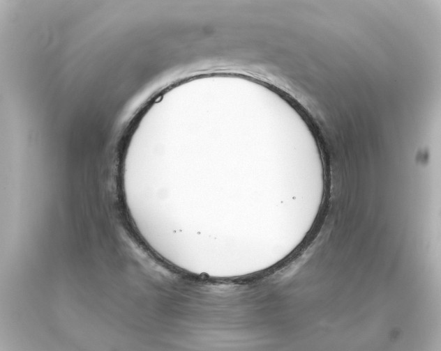 X0000093391502200711011259