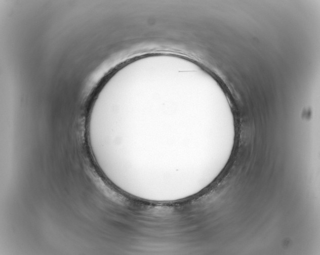 X0000093391503200711011259