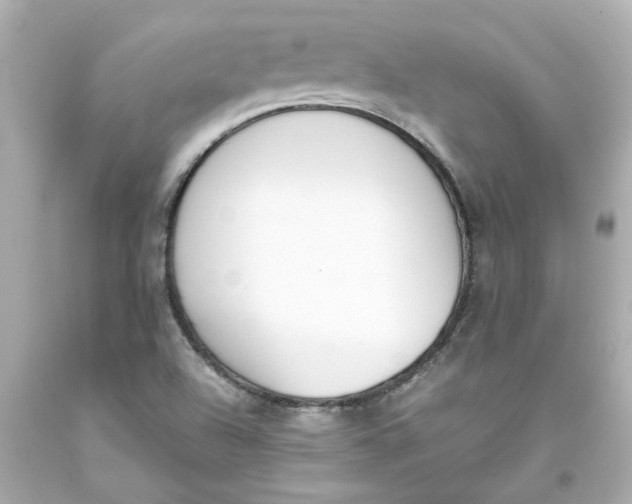 X0000093391504200711011300