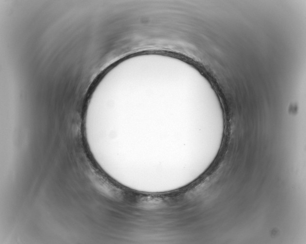 X0000093391505200711011300