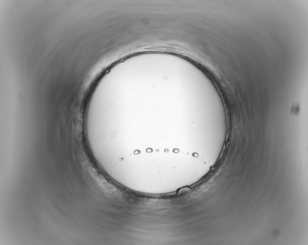 X0000093391506200711011300