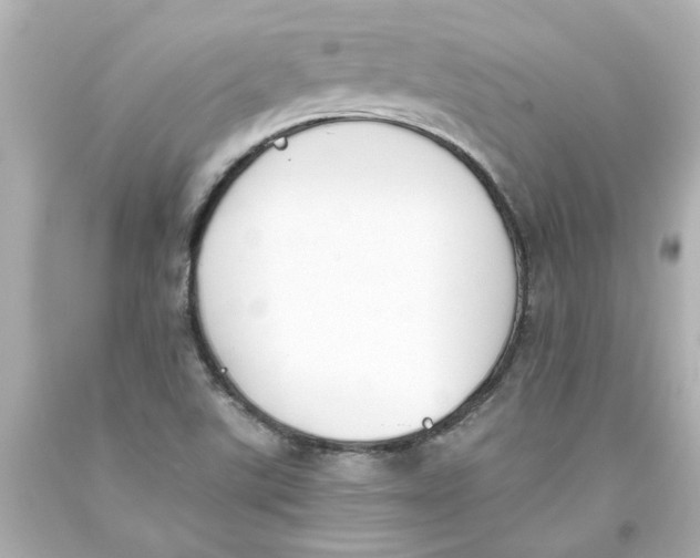 X0000093391507200711011300